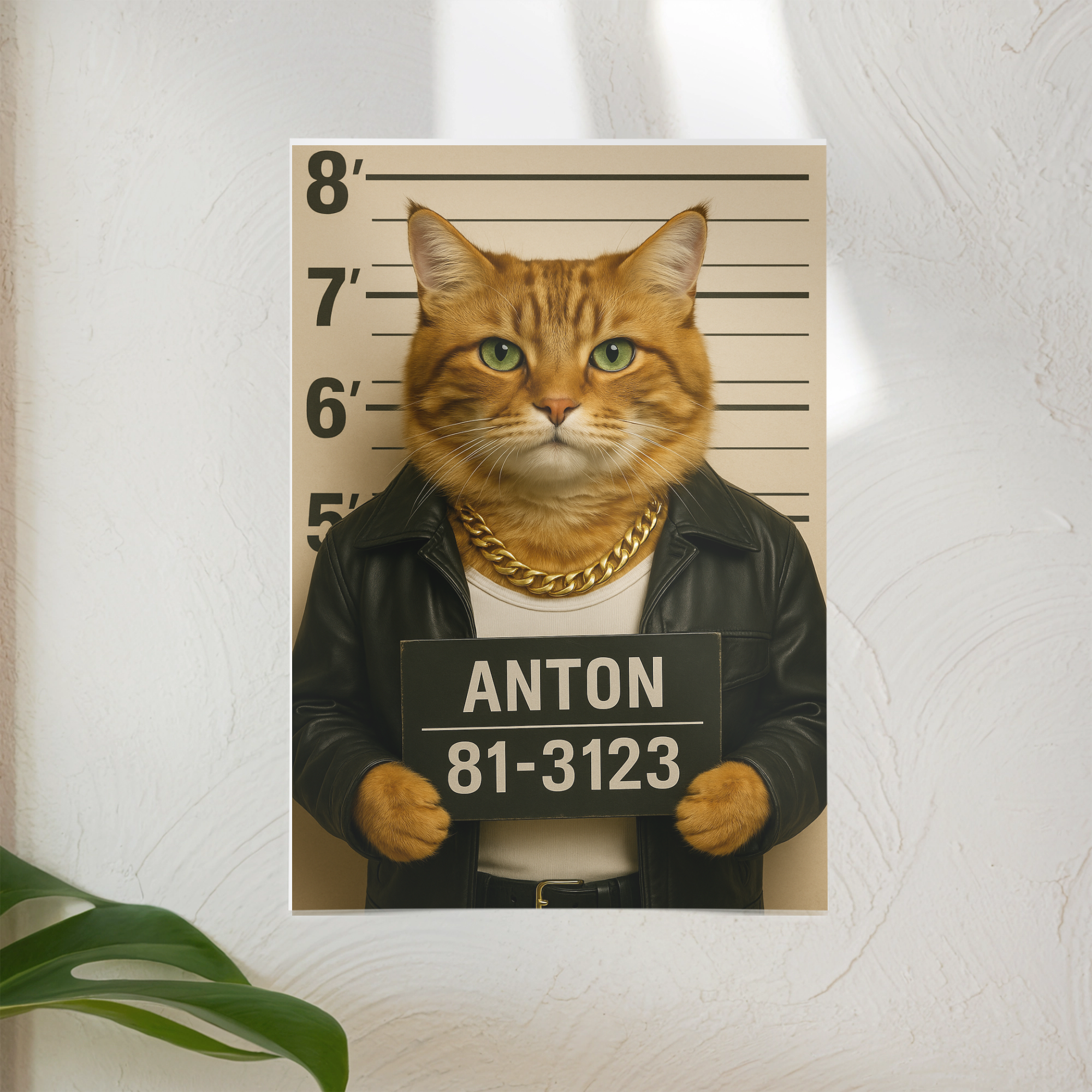 Mugshot | Digitaler Abzug _collection_collection