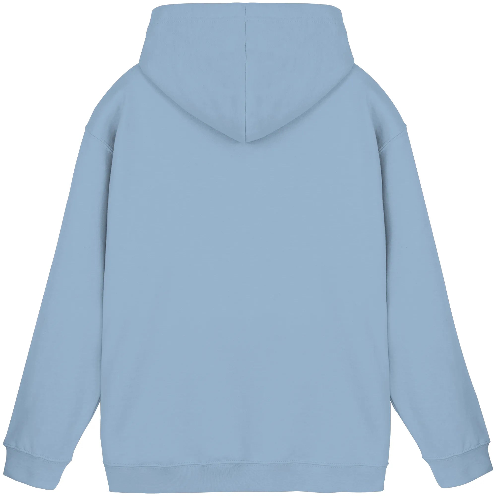 Basic Unisex Hoodie-Sky Blue Back | MagicPetPrint-Overlay