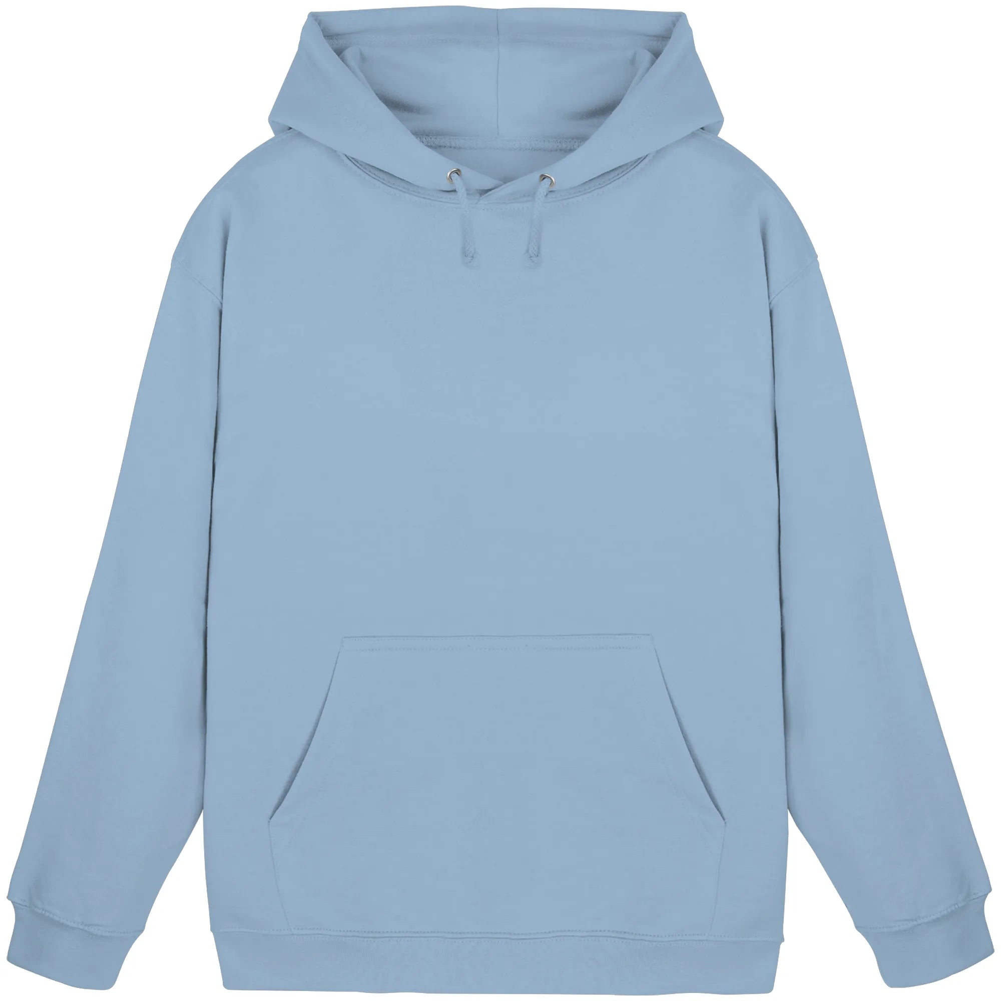Basic Unisex Hoodie-Sky Blue Front | MagicPetPrint-Overlay