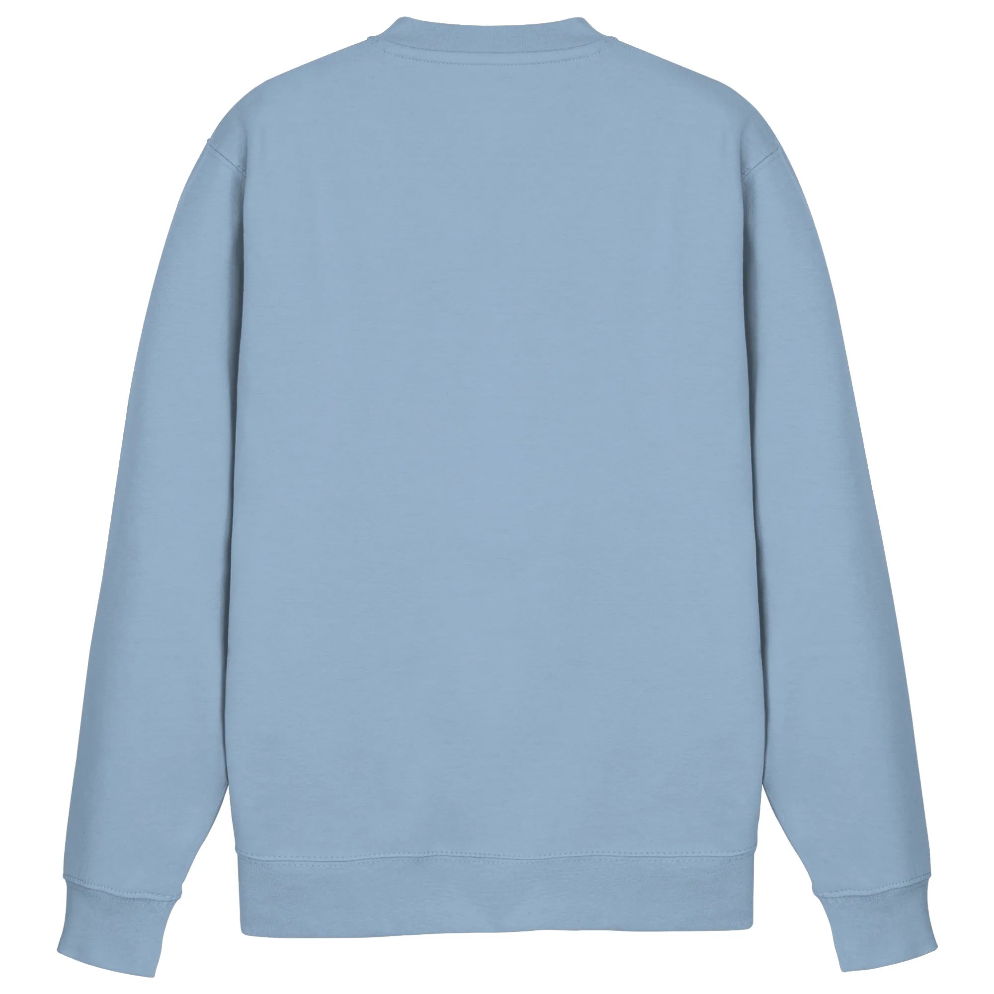 Basic Sweatshirt-Sky Blue Back | MagicPetPrint-Overlay