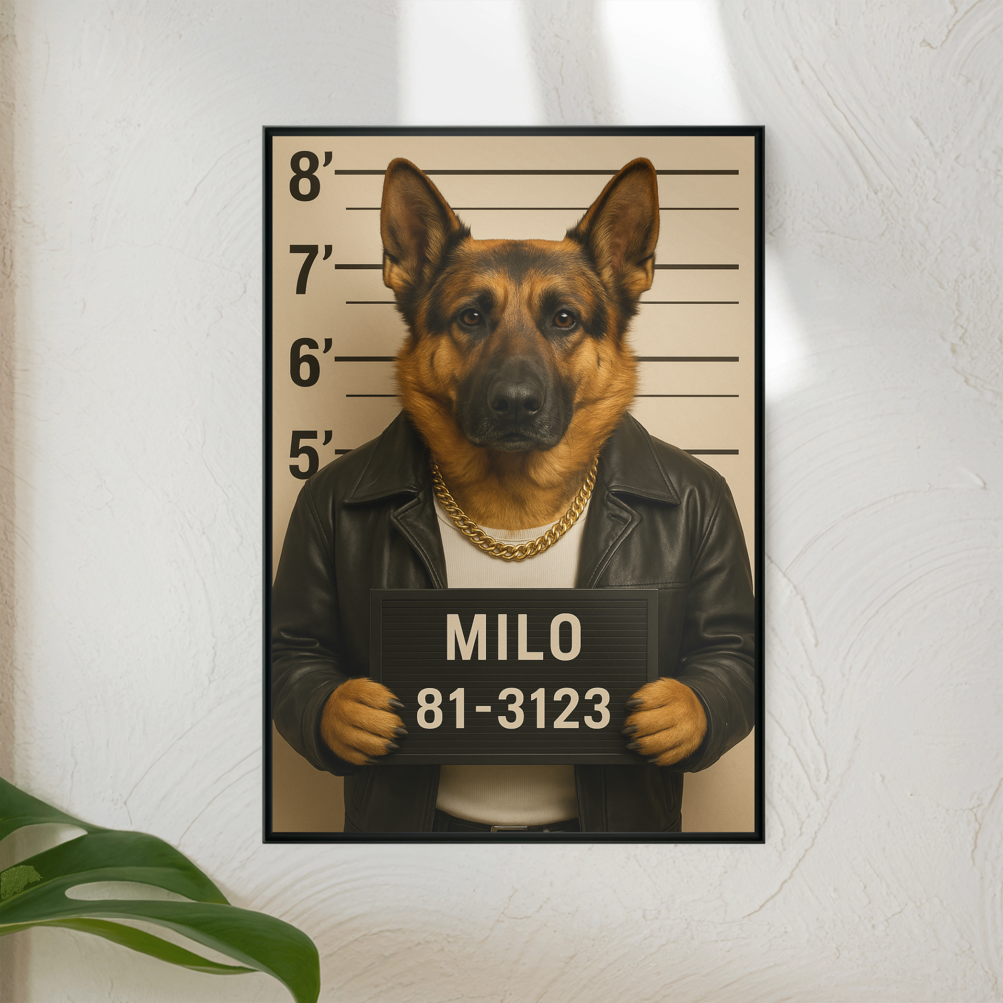 Mugshot | Poster _collection_collection